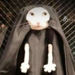 Meet your Posher, Mika